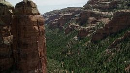 5.5K aerial stock footage of flying over trees in a canyon and past tall rock formations, through Arch Canyon, Utah Aerial Stock Footage | AX136_146E