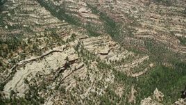 5.5K aerial stock footage of orbiting canyon cliffs and forested canyon, Manti-La Sal National Forest, Utah Aerial Stock Footage | AX136_179E