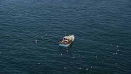 6K aerial stock footage orbiting a fishing boat with birds, Rockport, Massachusetts Aerial Stock Footage | AX147_114