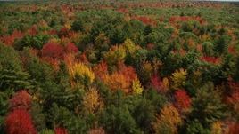 6K aerial stock footage flying over a colorful forest in autumn, pan left, Biddeford, Maine Aerial Stock Footage | AX147_281E