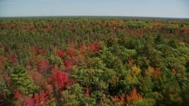 6K aerial stock footage flying over colorful forest, approaching rural homes, autumn, Biddeford, Maine Aerial Stock Footage | AX147_287E