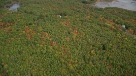 6K aerial stock footage of a bird's eye view over colorful forest, rural homes, autumn, Woolwich, Maine Aerial Stock Footage | AX147_416