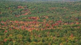 6K aerial stock footage flying by dense, colorful forest in autumn, Woolwich, Maine Aerial Stock Footage | AX147_420