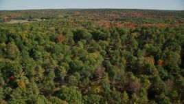 6K aerial stock footage flying over a colorful forest in autumn, Newcastle, Maine Aerial Stock Footage | AX148_009