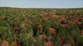 6K aerial stock footage flying over colorful forest in autumn, Newcastle, Maine Aerial Stock Footage | AX148_012E