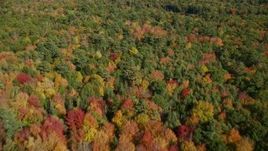 6K aerial stock footage flying over a colorful forest and Lower Pond, autumn, Damariscotta, Maine Aerial Stock Footage | AX148_018E