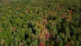6k aerial stock footage flying over a colorful forest in autumn, Damariscotta, Maine Aerial Stock Footage | AX148_020
