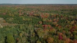 6k aerial stock footage flying over a colorful forest in autumn, Cushing, Maine Aerial Stock Footage | AX148_036