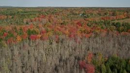 6K aerial stock footage flying over colorful forest, approach isolated rural home, autumn, Cushing, Maine Aerial Stock Footage | AX148_036E