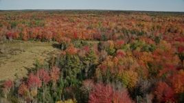 6K aerial stock footage flying over colorful forest landscape, small river, autumn, Cushing, Maine Aerial Stock Footage | AX148_044E