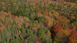 6K aerial stock footage flying over a colorful forest, reveal marsh, pond, autumn, Cushing, Maine Aerial Stock Footage | AX148_046E