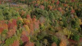 6k aerial stock footage flying over a colorful forest, marsh, pond, autumn, Cushing, Maine Aerial Stock Footage | AX148_047