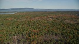 6K aerial stock footage flying over colorful forest in autumn, Brooklin, Maine Aerial Stock Footage | AX148_151