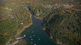 6K aerial stock footage flying over Seal Cove, Tremont Road, waterfront homes, autumn, Tremont, Maine Aerial Stock Footage | AX148_154E