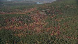 6K aerial stock footage flying by colorful forest in autumn, Mount Desert Island, Tremont, Maine Aerial Stock Footage | AX148_157E