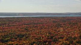 5.5K aerial stock footage flying over color fall foliage toward the bay, Trenton, Maine Aerial Stock Footage | AX149_001