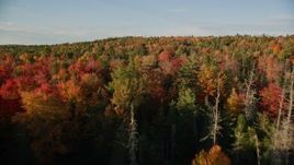 5.5K aerial stock footage flying over clearing and forest with colorful trees, autumn, Blue Hill, Maine Aerial Stock Footage | AX149_042E
