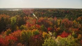 5.5K aerial stock footage flying over a forest with fall foliage and evergreens in autumn, Penobscot, Maine Aerial Stock Footage | AX149_061