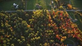 5.5K aerial stock footage of a bird's eye view over road and rural homes, colorful forest, autumn, Searsport, Maine, sunset Aerial Stock Footage | AX149_149E