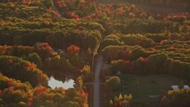 5.5K aerial stock footage flying by road, rural homes, forest in autumn, Belmont, Maine, sunset Aerial Stock Footage | AX149_168