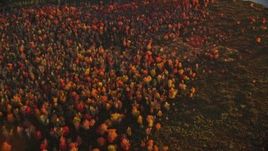 5.5K aerial stock footage of a bird's eye view of colorful forest in autumn, Belmont, Maine, sunset Aerial Stock Footage | AX149_171