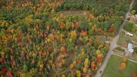 5.5K aerial stock footage of a bird's eye view over colorful forest, reveal river and rural homes, autumn, Monmouth, Maine Aerial Stock Footage | AX150_029E