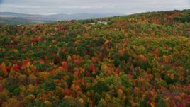 5.5K aerial stock footage flying over colorful forest, approaching an isolated home, Turner, Maine Aerial Stock Footage | AX150_054