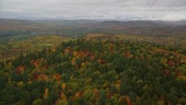 5.5K aerial stock footage approaching and flying over dense, colorful forest, autumn, overcast, Norway, Maine Aerial Stock Footage | AX150_111