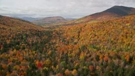 5.5K aerial stock footage flying low over colorful forest in autumn, approaching White Mountains, New Hampshire Aerial Stock Footage | AX150_157E