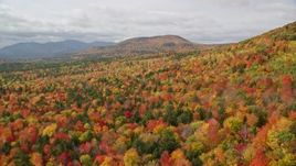 5.5K aerial stock footage flying over dense forest, autumn, approaching White Mountains, New Hampshire Aerial Stock Footage | AX150_161E