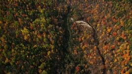 5.5K aerial stock footage of a bird's eye view over colorful forest, river, autumn, Bethlehem, New Hampshire Aerial Stock Footage | AX150_236E