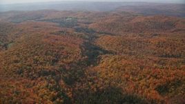 5.5K aerial stock footage flying by a forest in autumn, overcast sky, Topsham, Vermont Aerial Stock Footage | AX150_322E