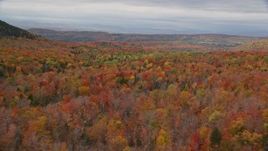 5.5K aerial stock footage flying over bright forest in autumn, overcast, Orange, Vermont Aerial Stock Footage | AX150_329E