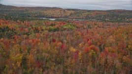5.5K aerial stock footage flying over colorful forest, approach Thurman W Dix Reservoir, autumn, Orange, Vermont Aerial Stock Footage | AX150_333E