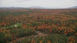 5.5K aerial stock footage flying over brightly colored forest, pan by rural homes, autumn, Newbury, New Hampshire Aerial Stock Footage | AX151_092E
