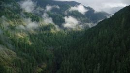5.5K aerial stock footage following Eagle Creek Trail through a canyon in the Cascade Range, Hood River County, Oregon Aerial Stock Footage | AX154_044