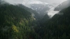 5.5K aerial stock footage following Eagle Creek Trail over misty clouds in the Cascade Range, Hood River County, Oregon Aerial Stock Footage | AX154_046E