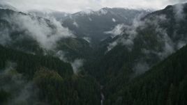 5.5K aerial stock footage following Eagle Creek Trail through a canyon with mist and forest in Cascade Range, Hood River County, Oregon Aerial Stock Footage | AX154_050E