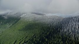 5.5K aerial stock footage of the snow line on evergreen trees atop a mountain ridge, Cascade Range, Hood River County, Oregon Aerial Stock Footage | AX154_059