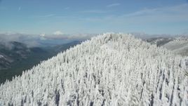 5.5K aerial stock footage flying over snow forest at the end of a mountain ridge, Cascade Range, Oregon Aerial Stock Footage | AX154_106