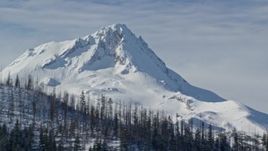 5.5K aerial stock footage of a summit of a mountain peak behind a ridge with dead evergreens, Mount Hood, Cascade Range, Oregon Aerial Stock Footage | AX154_123E