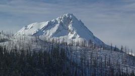 5.5K aerial stock footage of snowy peak summit behind ridge with dead evergreens, Mount Hood, Cascade Range, Oregon Aerial Stock Footage | AX154_124