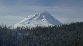 5.5K aerial stock footage of dense forest with light mist near the summit of Mount Hood, Cascade Range, Oregon Aerial Stock Footage | AX154_126