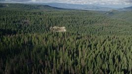 5.5K aerial stock footage flying over canyon and evergreen forest near Highway 35, Cascade Range, Hood River Valley, Oregon Aerial Stock Footage | AX154_127E