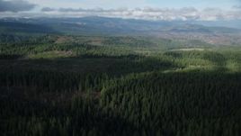 5.5K aerial stock footage flying over vast evergreen forest in the Cascade Range, Hood River Valley, Oregon Aerial Stock Footage | AX154_134