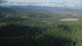 5.5K aerial stock footage flying over evergreens to approach logging and farm areas near Parkdale, Oregon Aerial Stock Footage | AX154_135