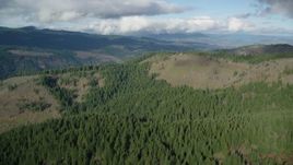 5.5K aerial stock footage approaching and flying over evergreen forest and logging areas, Dee, Oregon Aerial Stock Footage | AX154_146