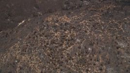 5K aerial stock footage bird's eye view of mountain slopes damaged by wildfire, Santa Monica Mountains, California Aerial Stock Footage | AX42_009