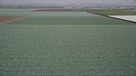 5K aerial stock footage of approach and fly over a field of crops, Camarillo, California Aerial Stock Footage | AX42_025E