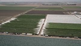5K aerial stock footage fly over crop fields and greenhouses, Camarillo, California Aerial Stock Footage | AX42_028E